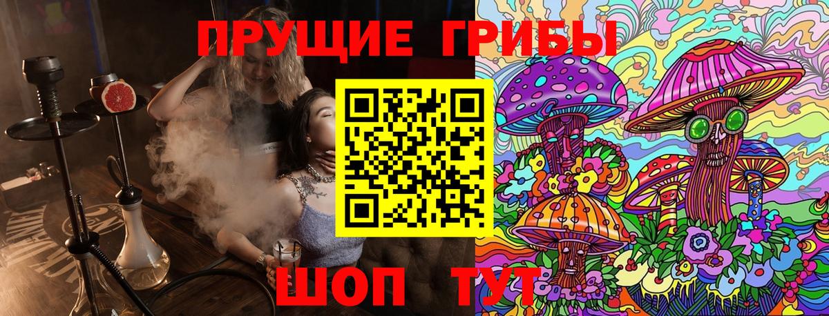 Псилоцибиновые грибы Psilocybine cubensis Королёв