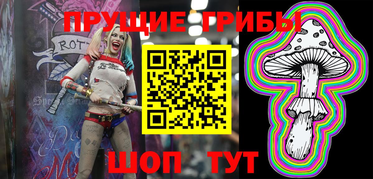 Королёв  Псилоцибиновые грибы Cubensis  Вход с VPN 